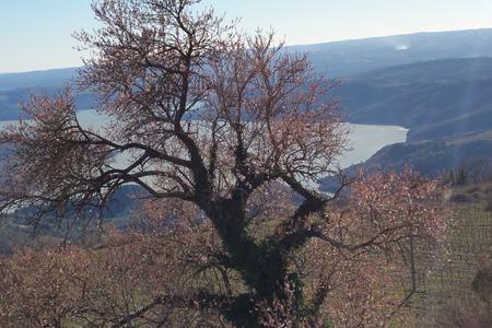 From Orvieto to Foligno discovering the heart of Umbria 