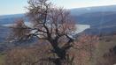 The Landscape around Salviano