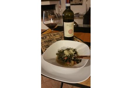 ribollita