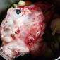 lambhead